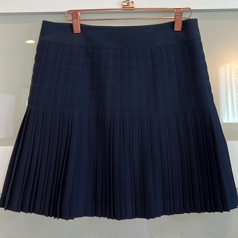 Pleated Navy J Crew Skirt